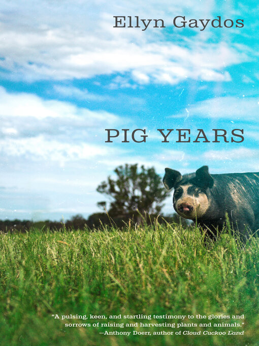 Title details for Pig Years by Ellyn Gaydos - Wait list